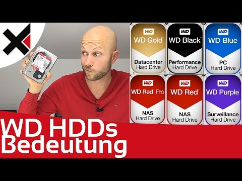 WD Black, Blue, Red, Purple, Gold was die Farben bei Western Digital bedeuten | iDomiX