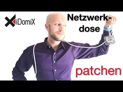 Netzwerkdose verkabeln anschließen patchen | 4K | iDomiX